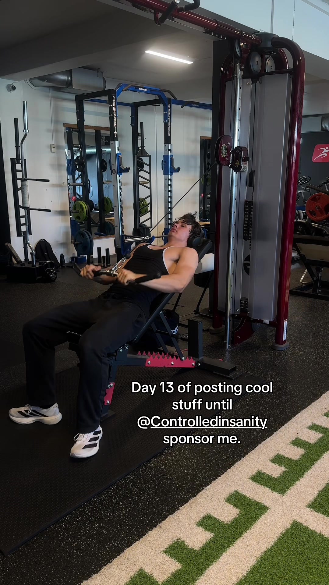 @Ludvikgoesgym