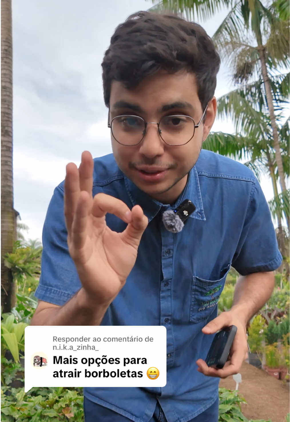 @ViveiroPauBrasil