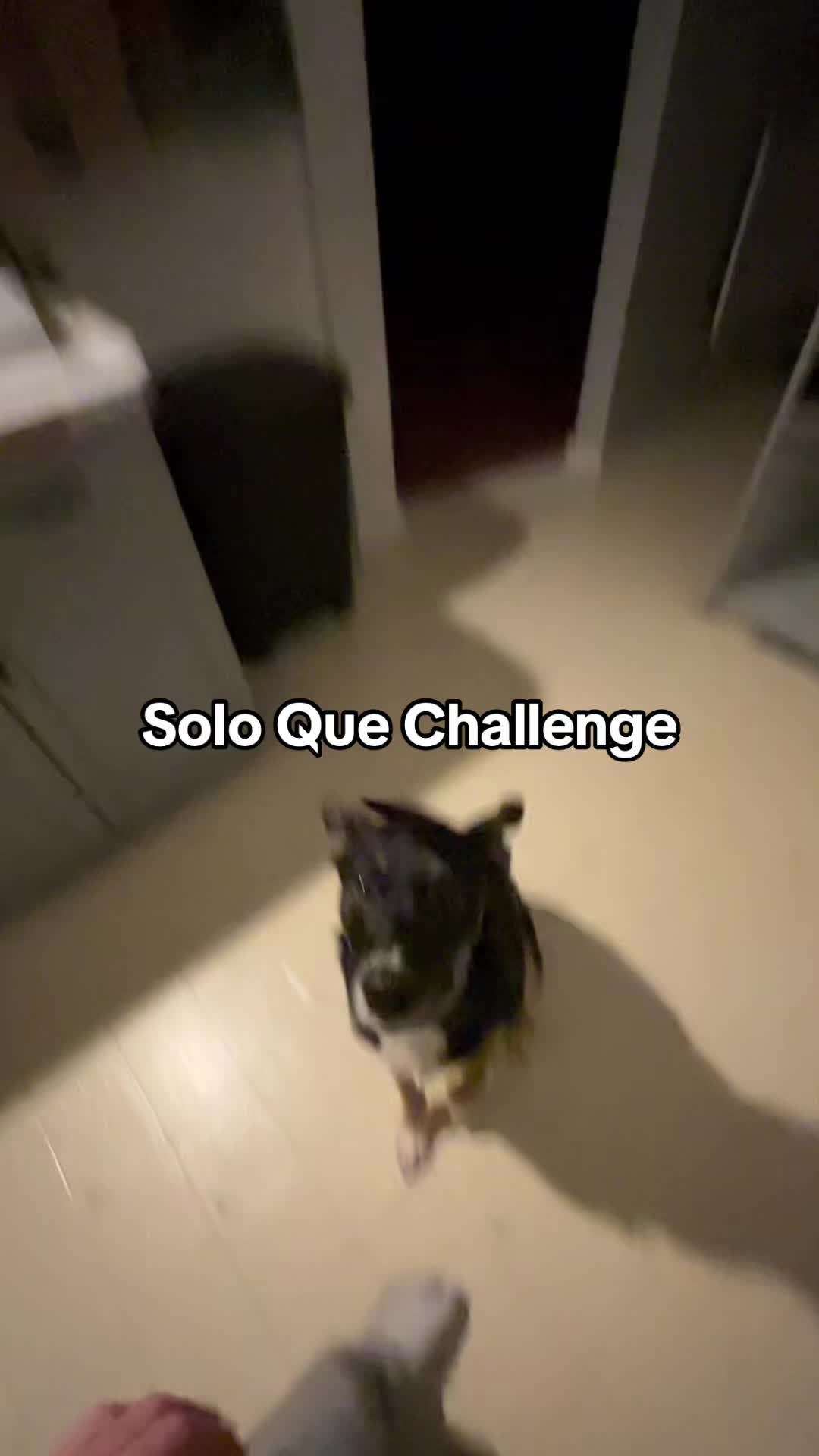 @Revos
