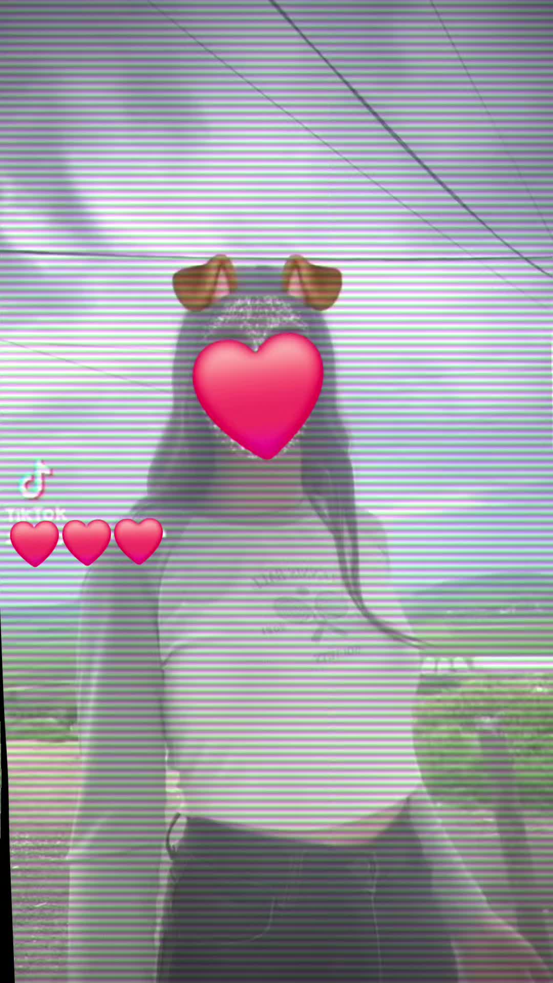 @🗣𝕸𝖔𝖓𝖎𝖈𝖆💞