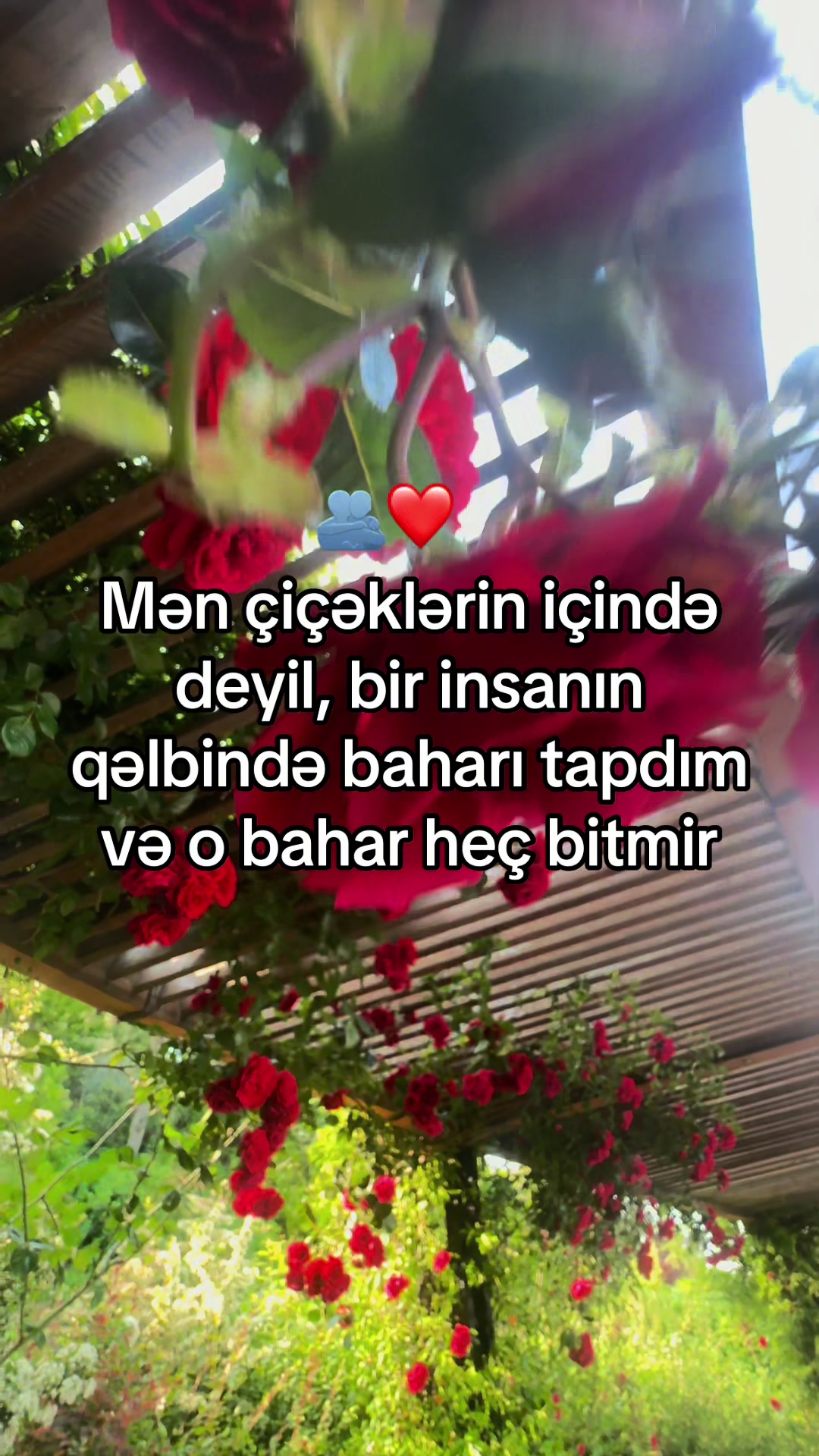 @🖤BANU🖤