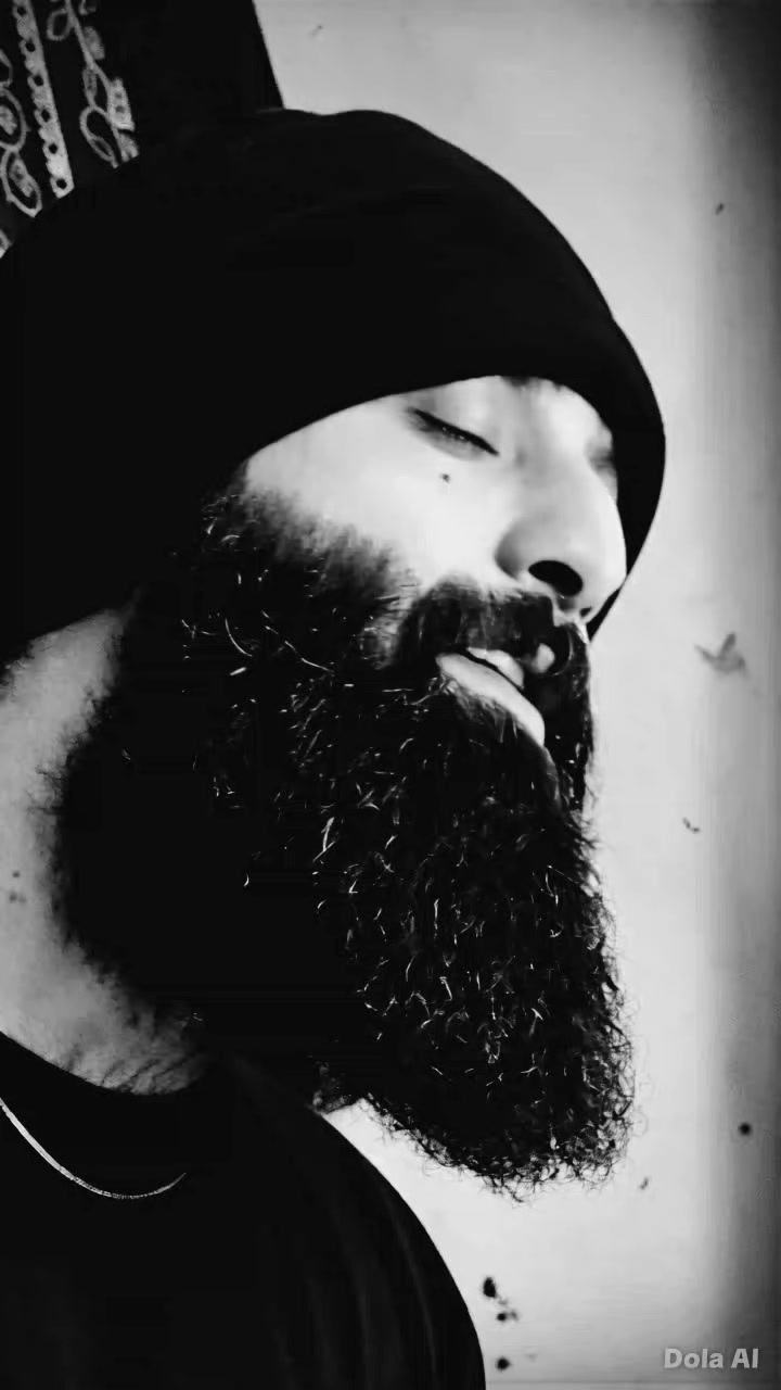 @syedalihussainina