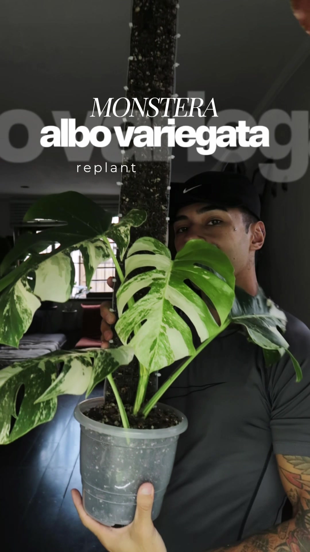 @Otávio Pichirillo