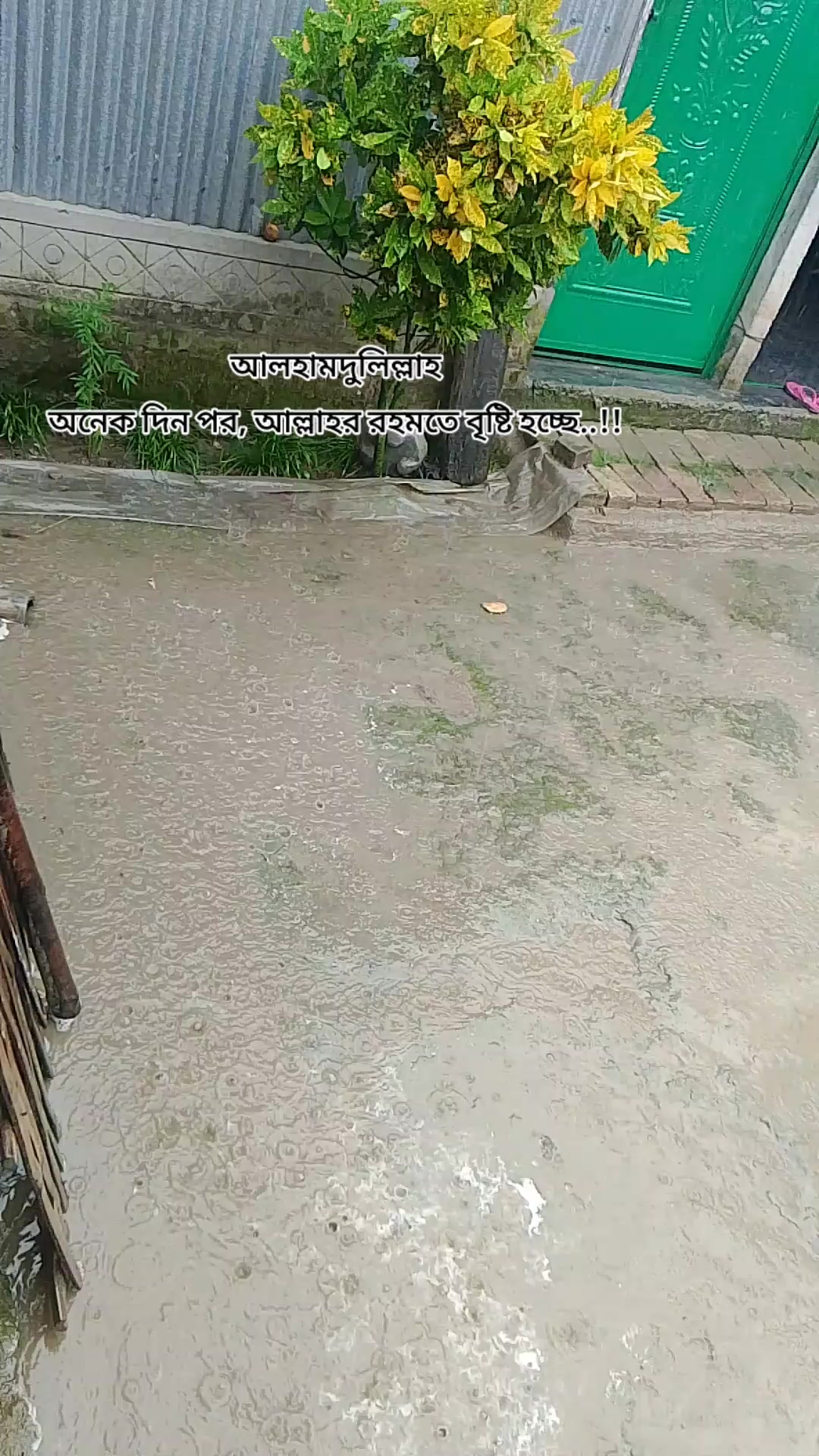 @Sumaya islam