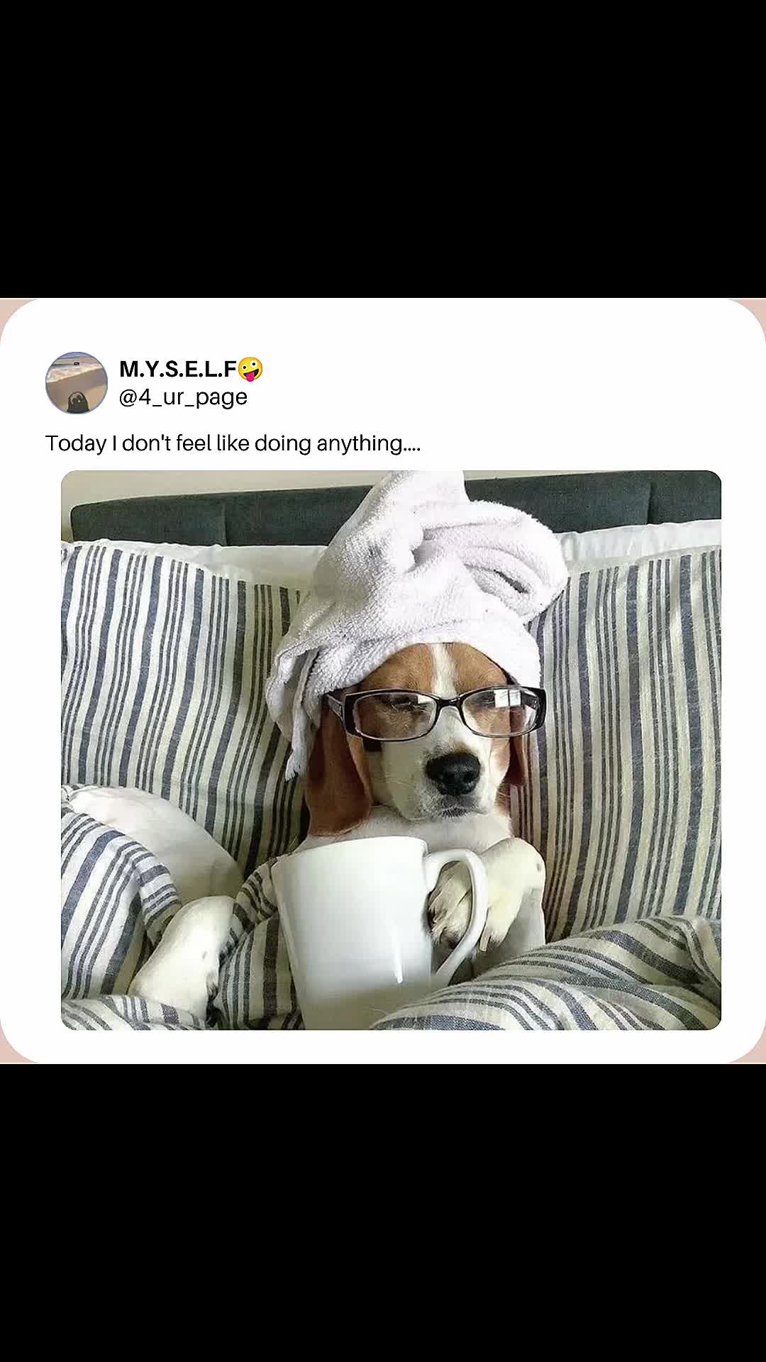@M.Y.S.E.L.F🤪