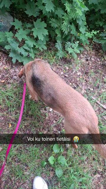 @Kari Sormanto