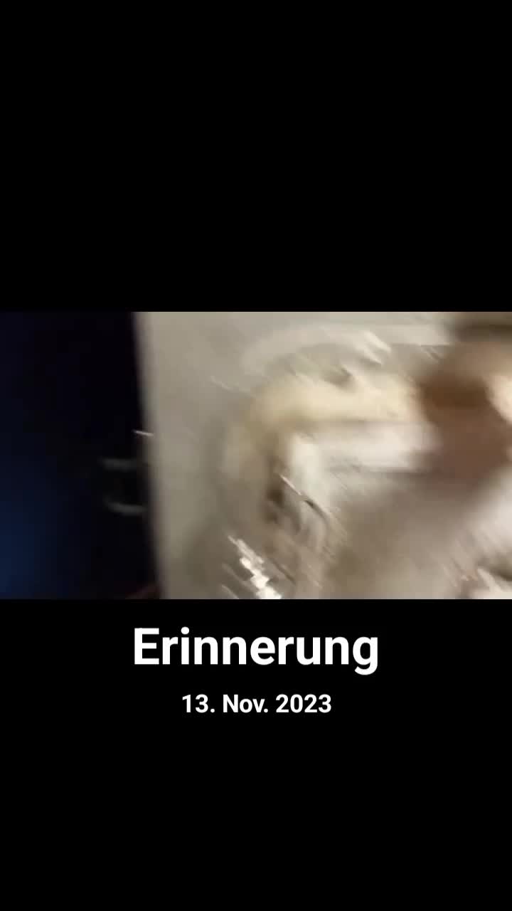 @Schnuffi 64