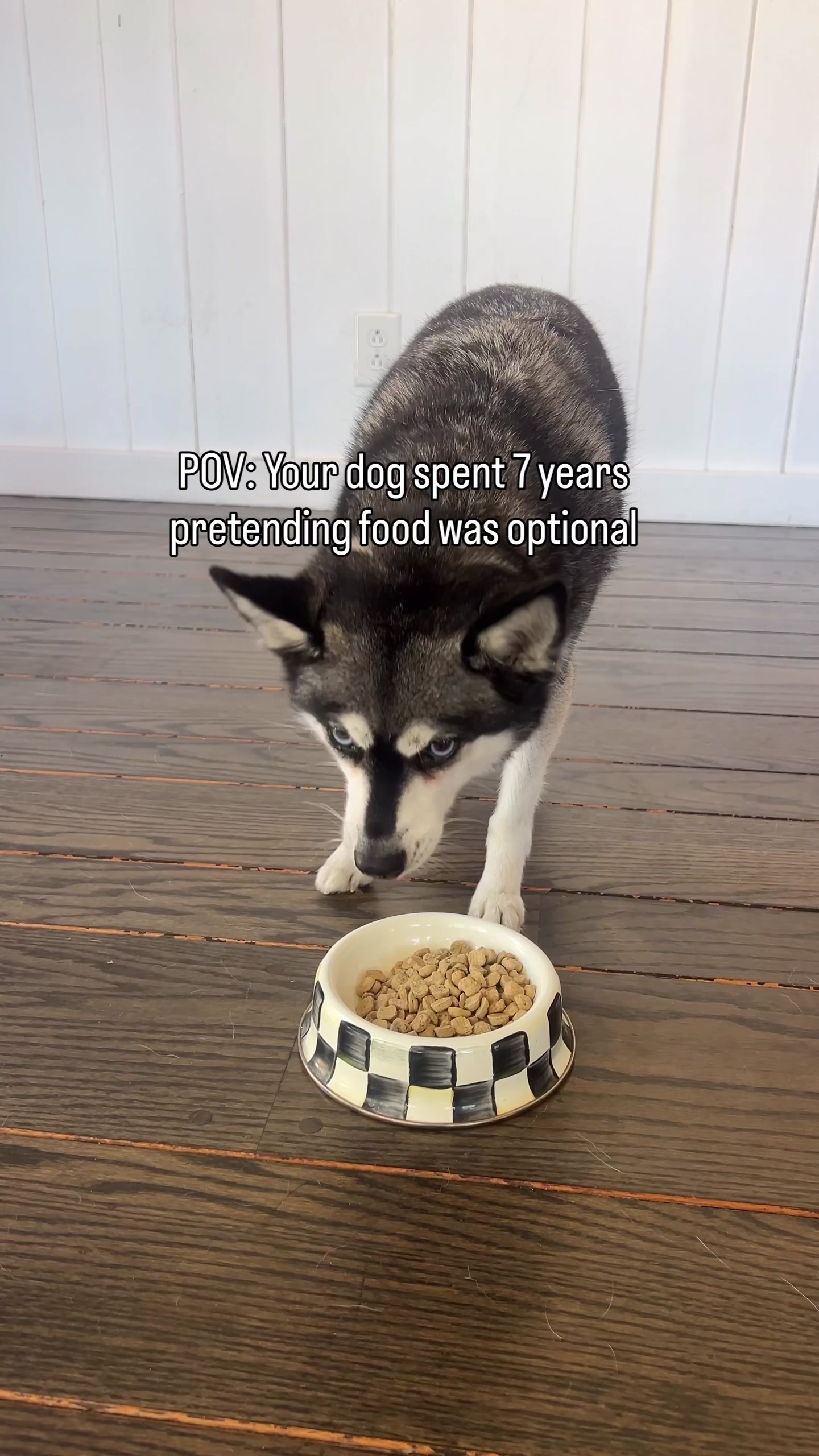 @lifewithkleekai