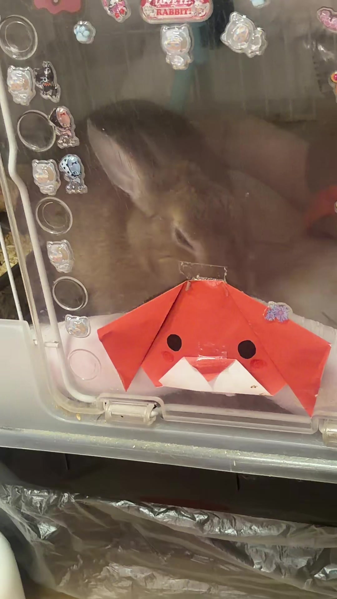 @まいたけ ᒼᑋªⁿ