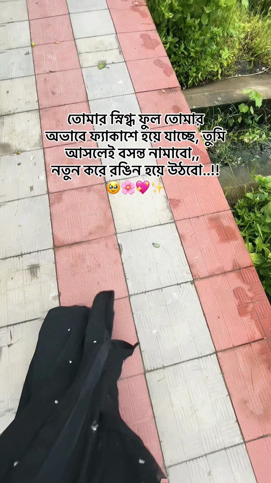 @đ_đĩđđđđđ_đ