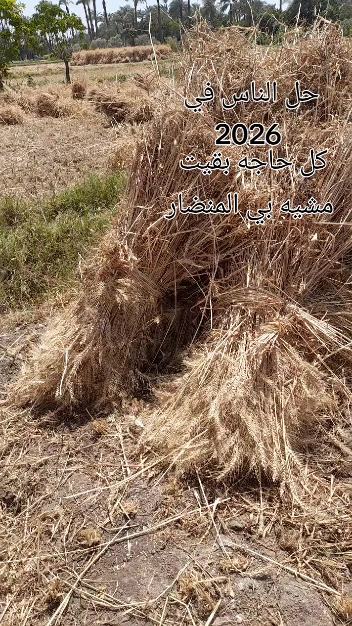 @♕(عشاق عصام صاصا) ♕