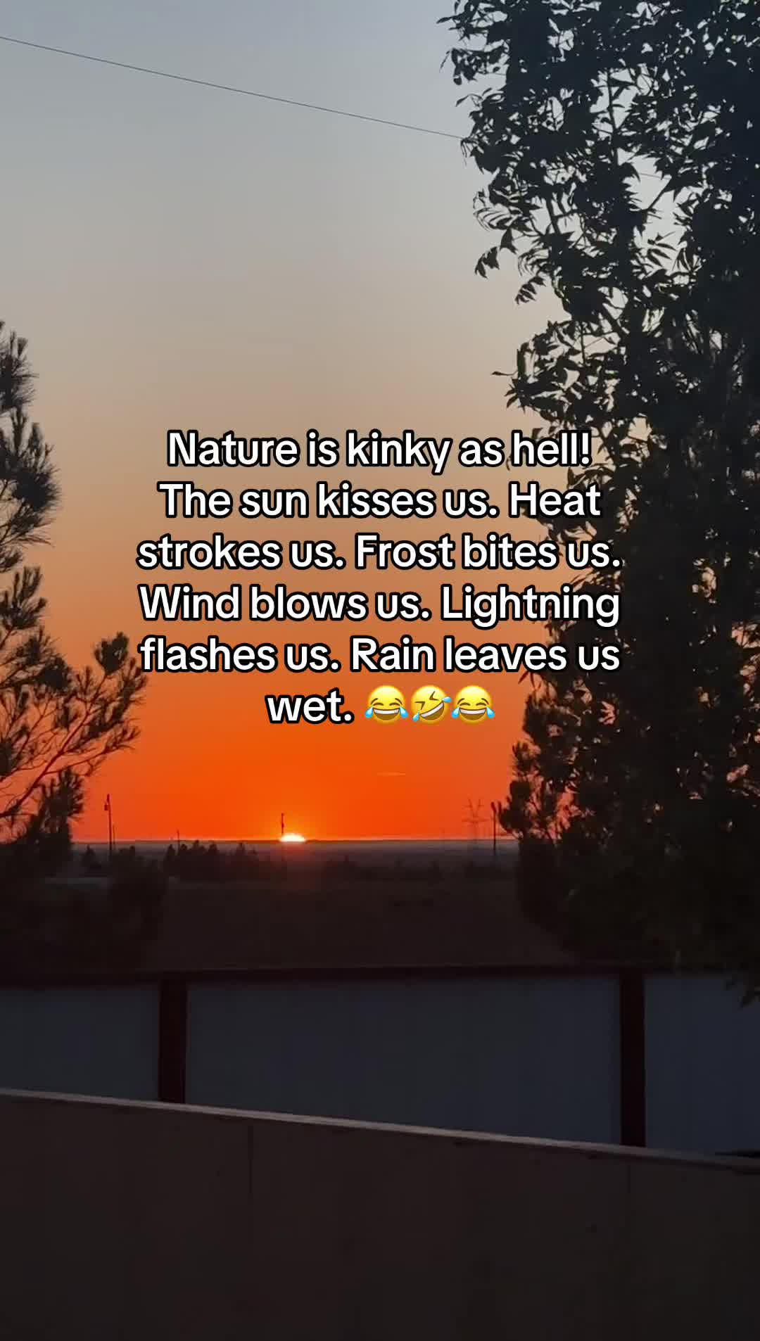 @lc.txmom