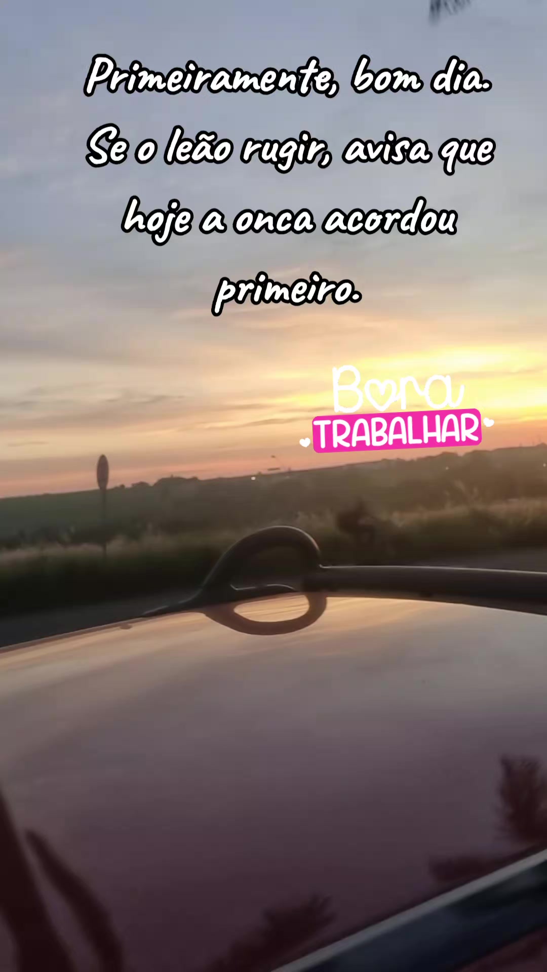 @meirecastilho932