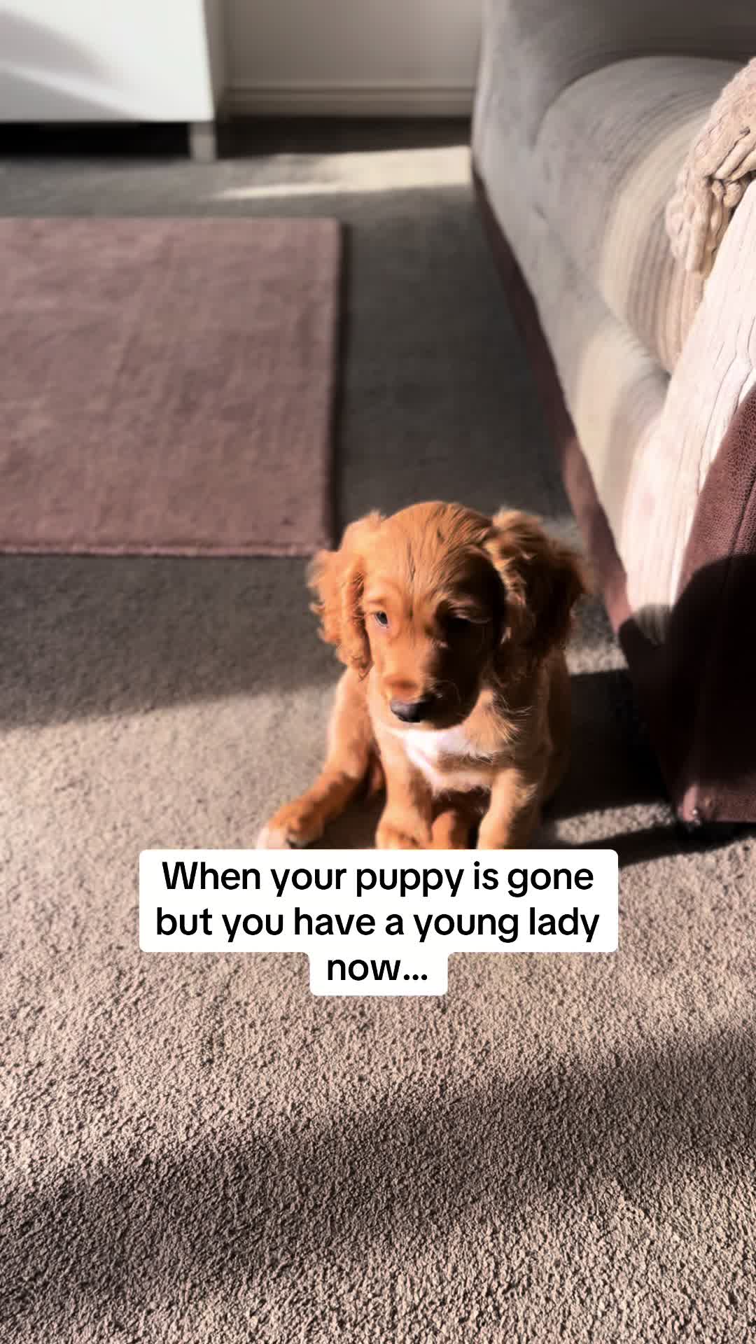 @Corrina | Parker & Mila 🐾 ⭐️