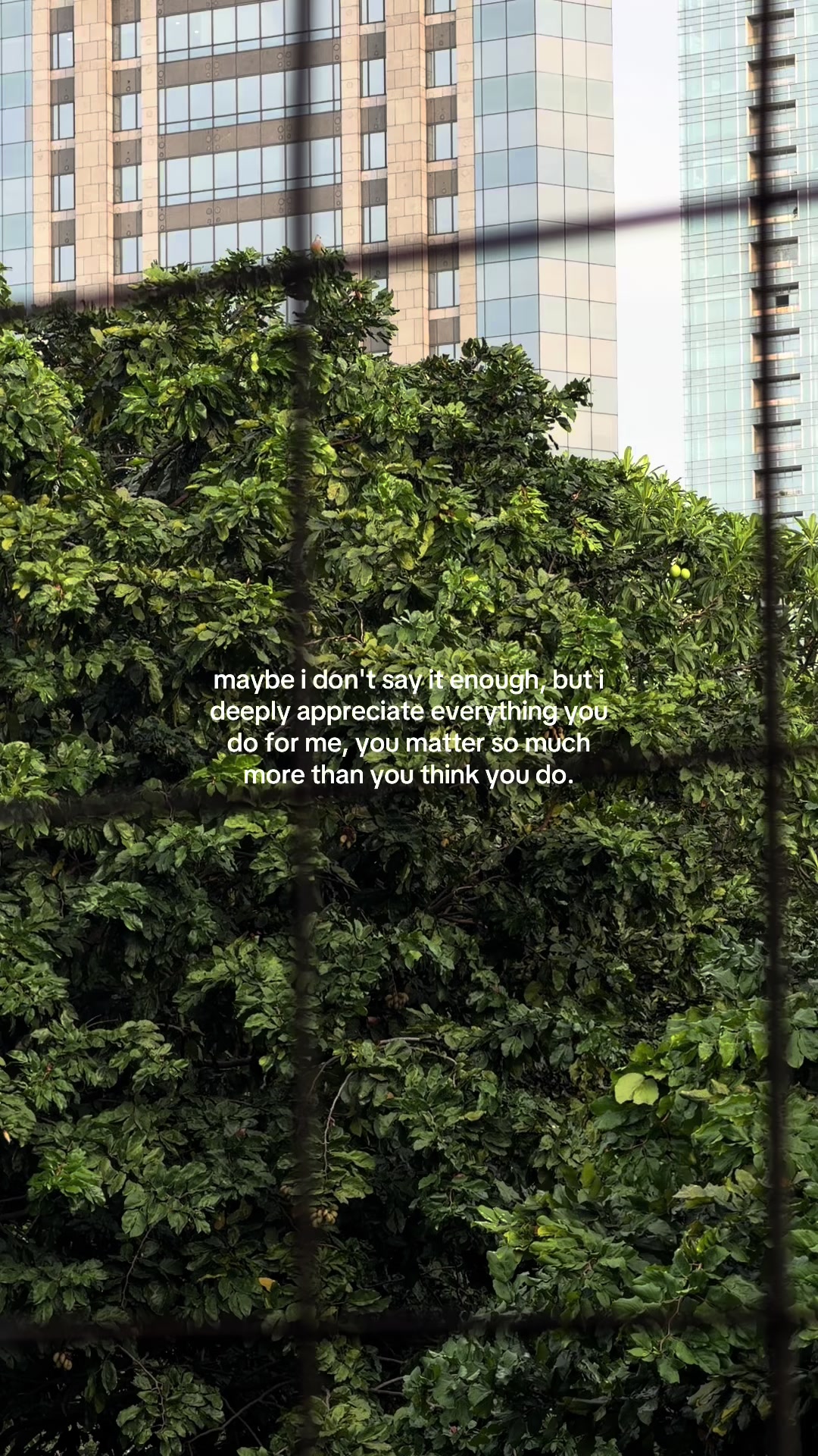 @something i couldn&rsquo;t say