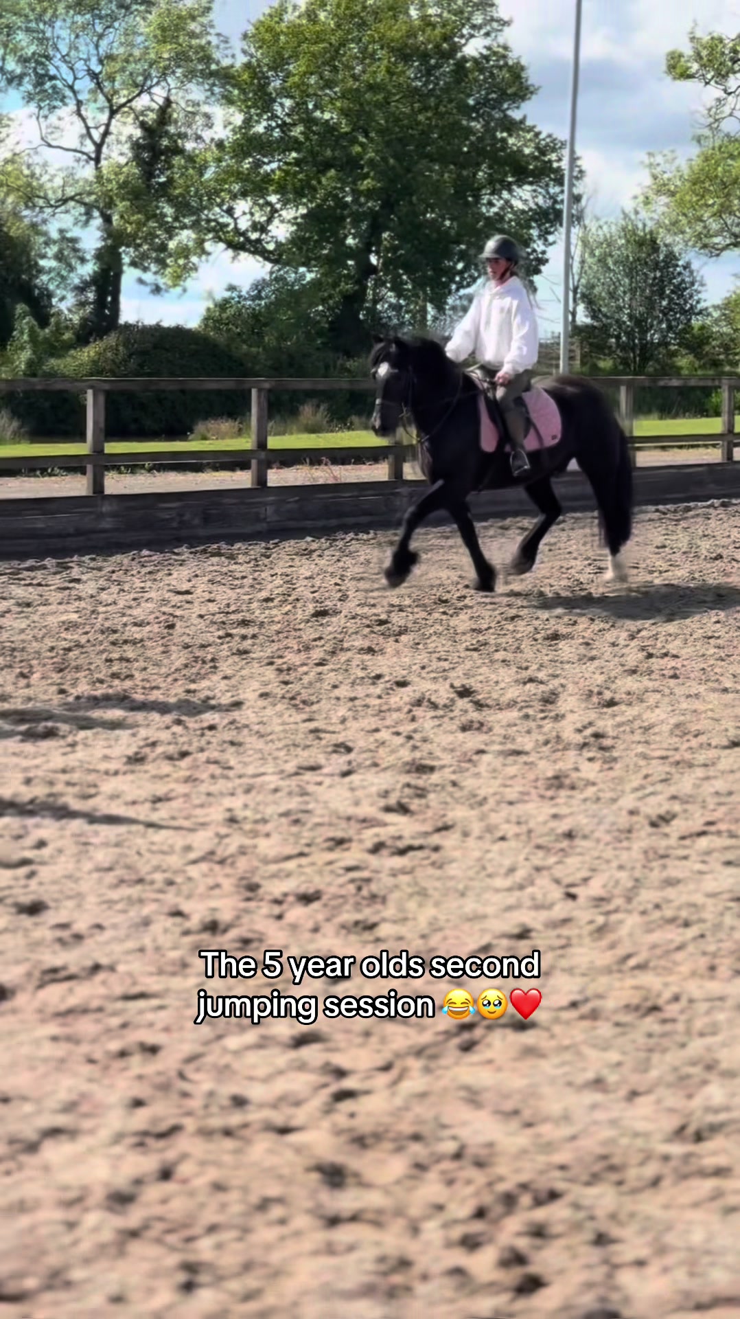 @Sophie&merlin🌸🐴