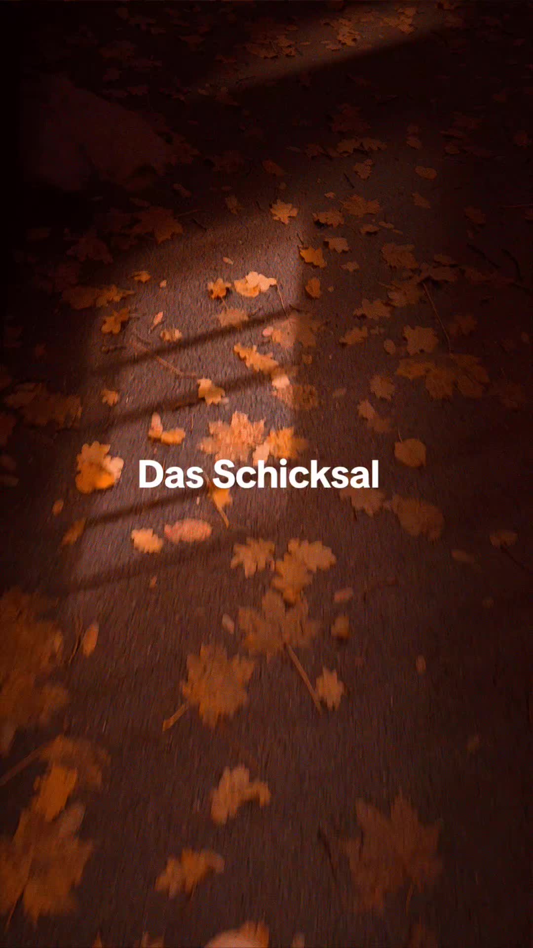 @Maximal_Unsympathischer_BenAte