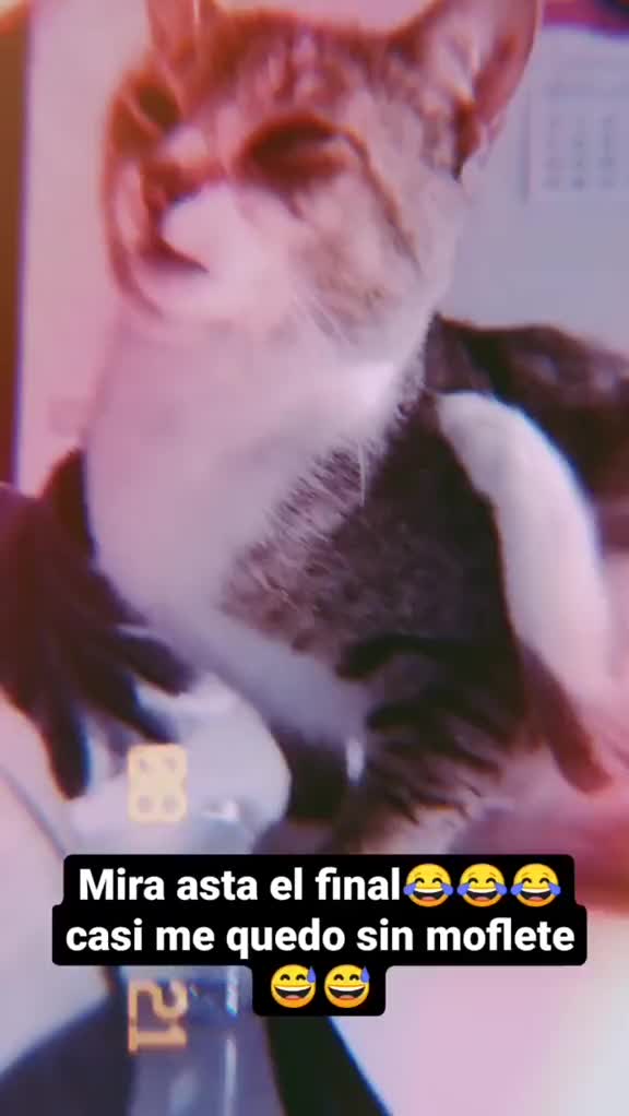 @🦊bikenmai🦊