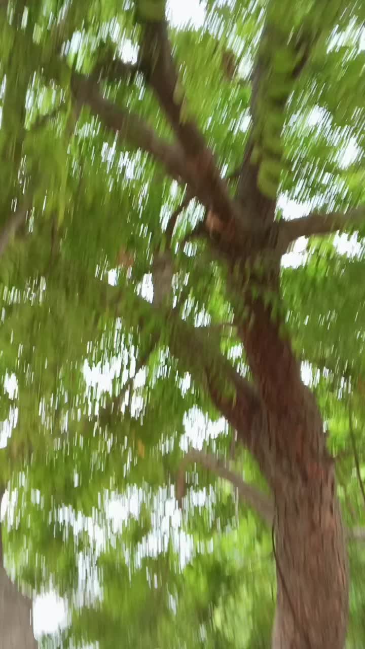 @shehzad khan