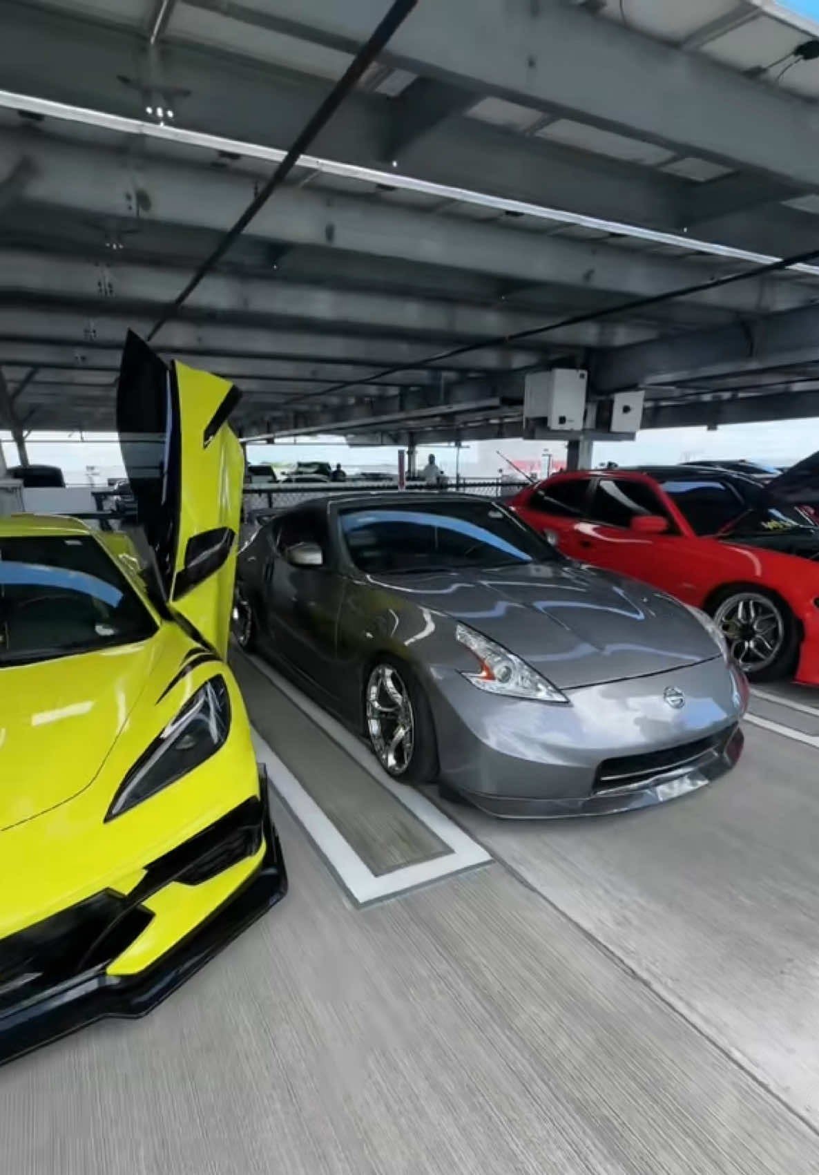 @Biscayne Supercars