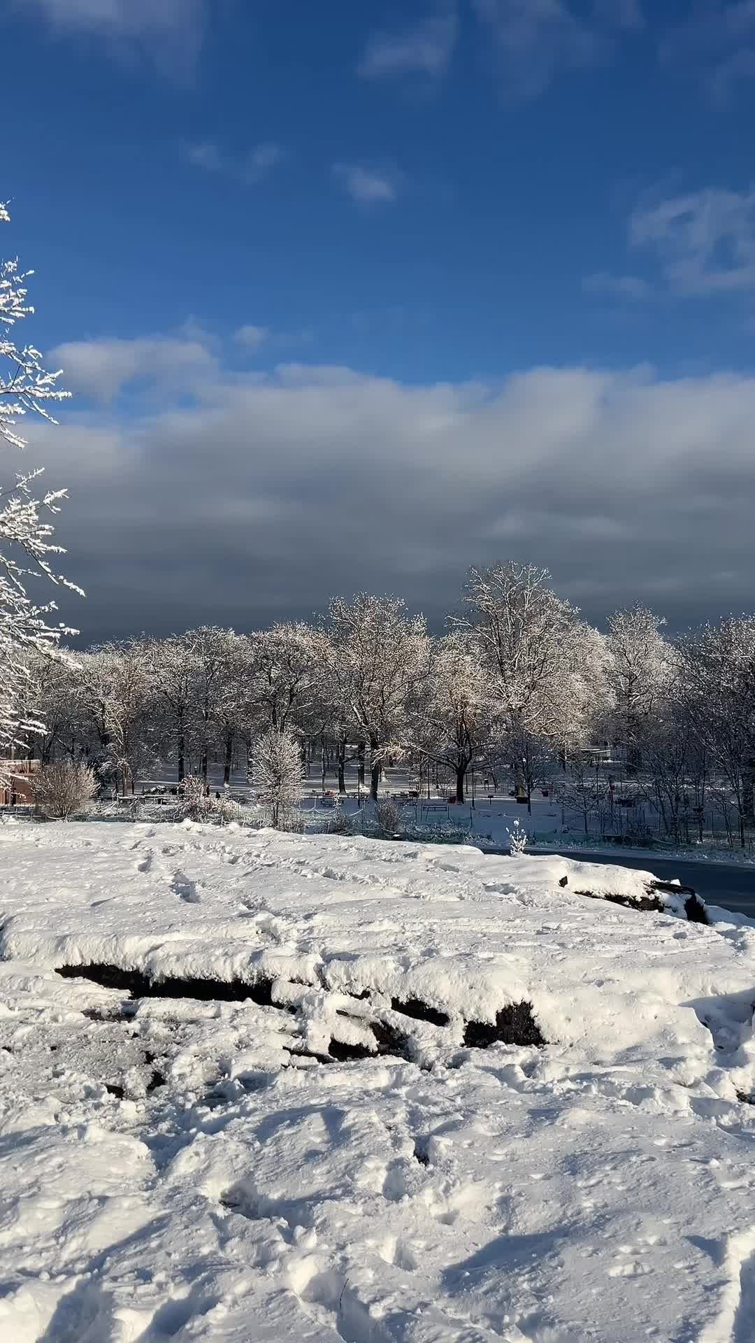 @SHOSTIN7🦁