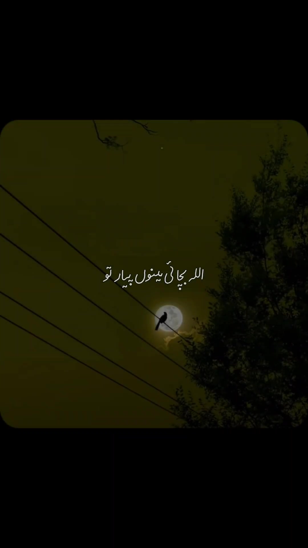@Atif Ai Covers