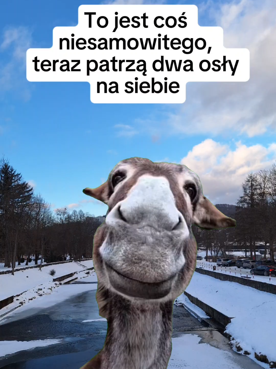 @Nicole