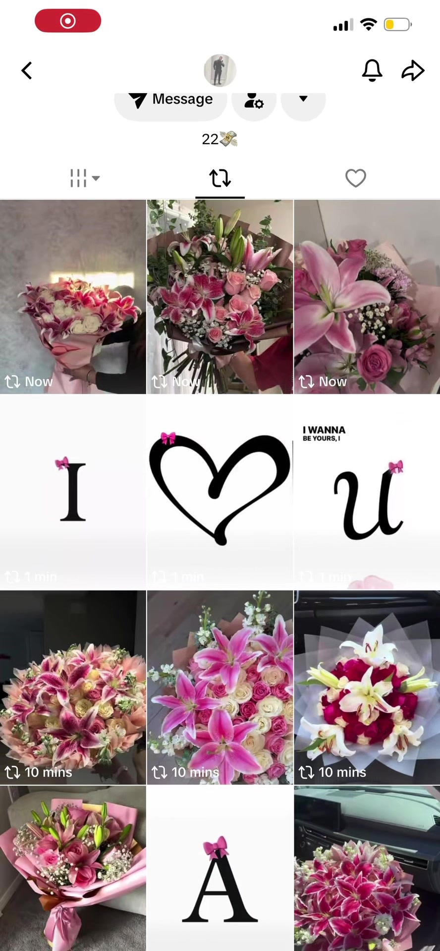 @Amelia-Lilly Zitiello