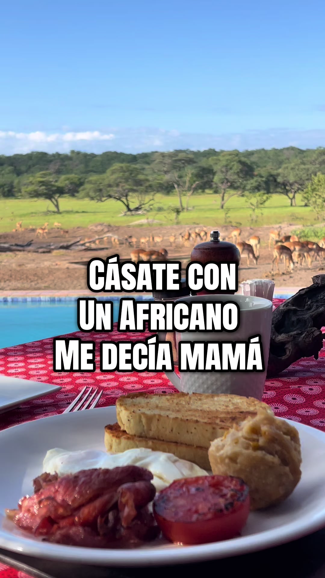 @J TURCIOS