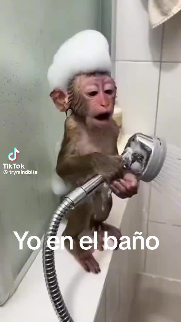 @Yaima Vento