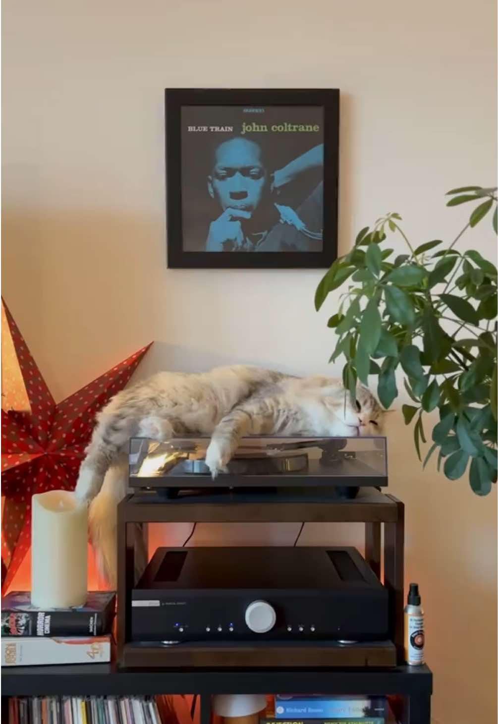 @Leon The Vinyl Cat