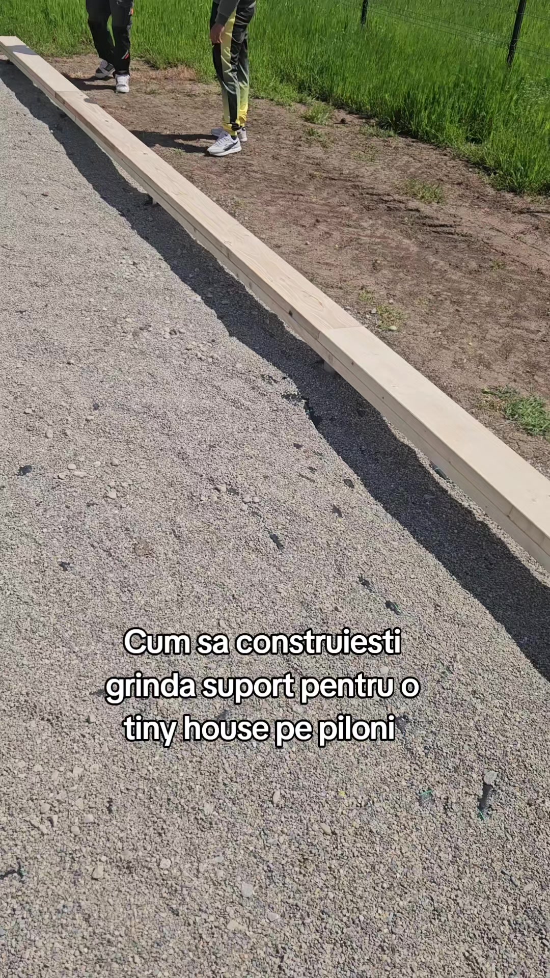 @Fratii Rumegus