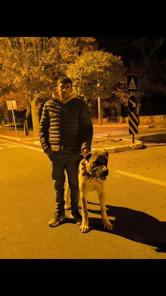 @Mustafa Doğan14667