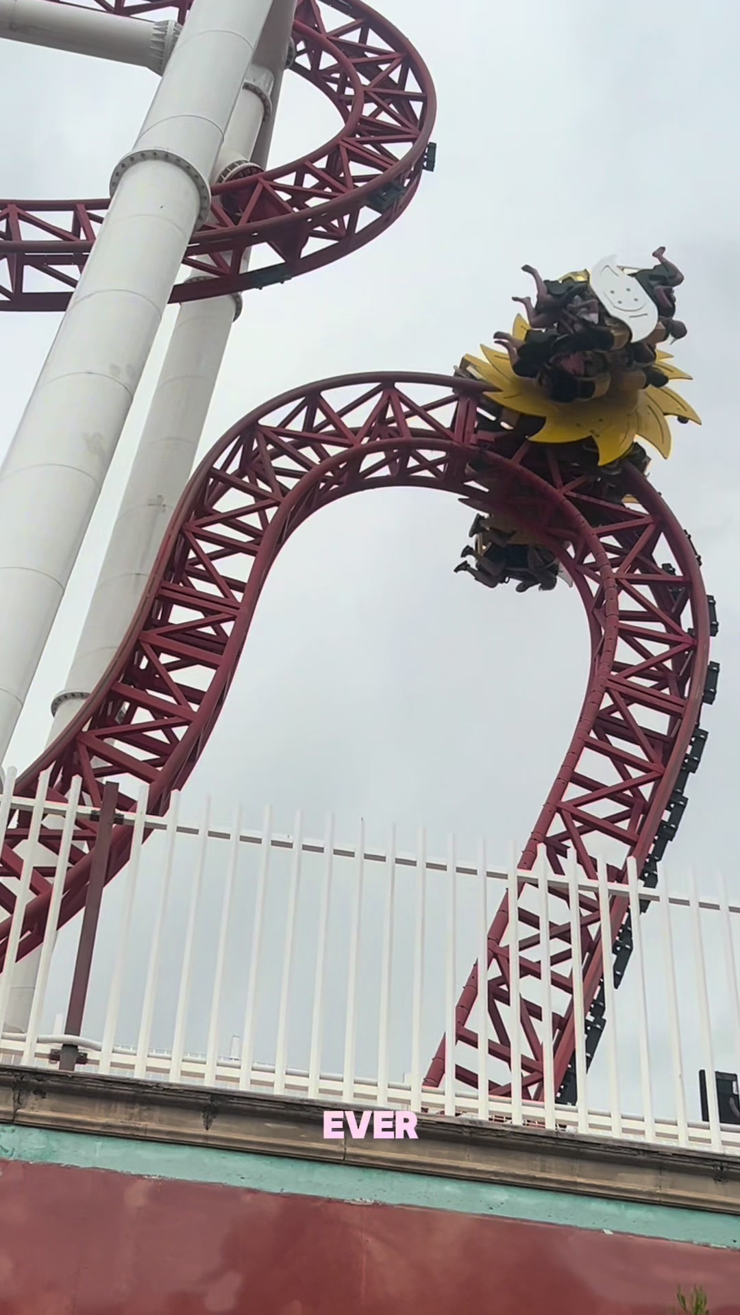 @𝓜𝓮𝓰𝓪𝓷 🎢