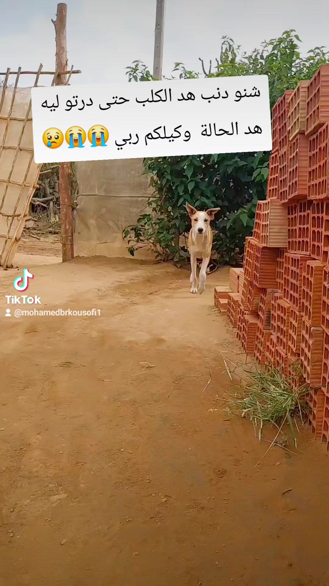 @Ezil kousofi