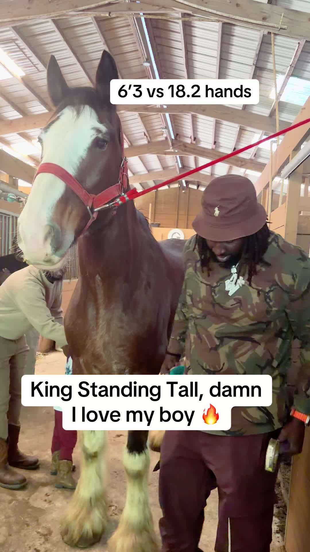 @Cowboy Loochie 🐎
