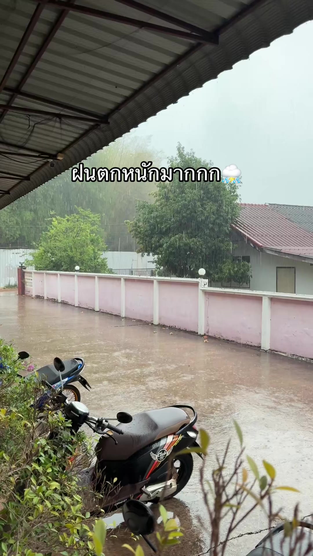 @Kanyarat Kulak