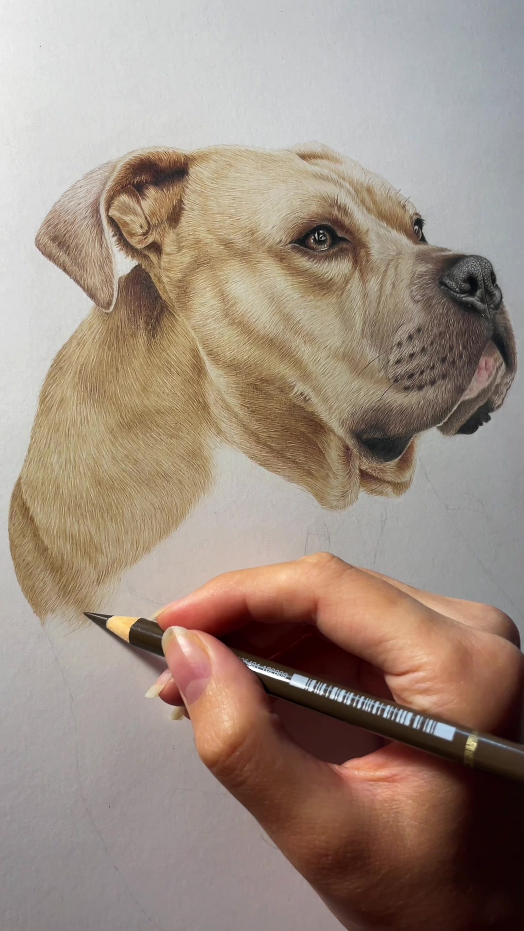 @petrakonecnaportrait