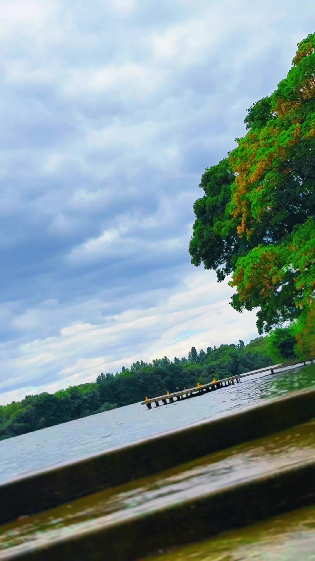 @moumita