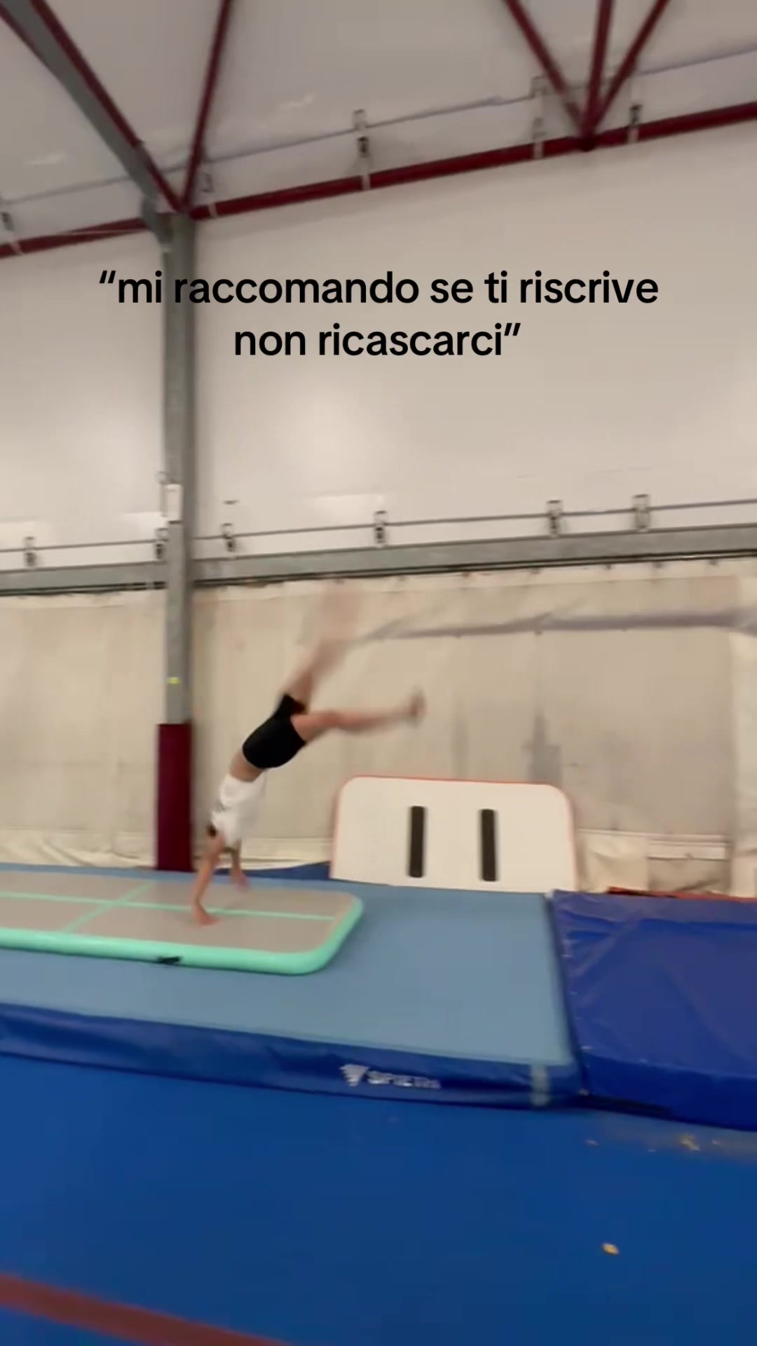 @sofia correa