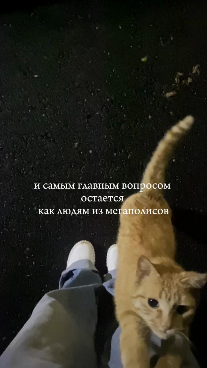 @сенчес👐🏻