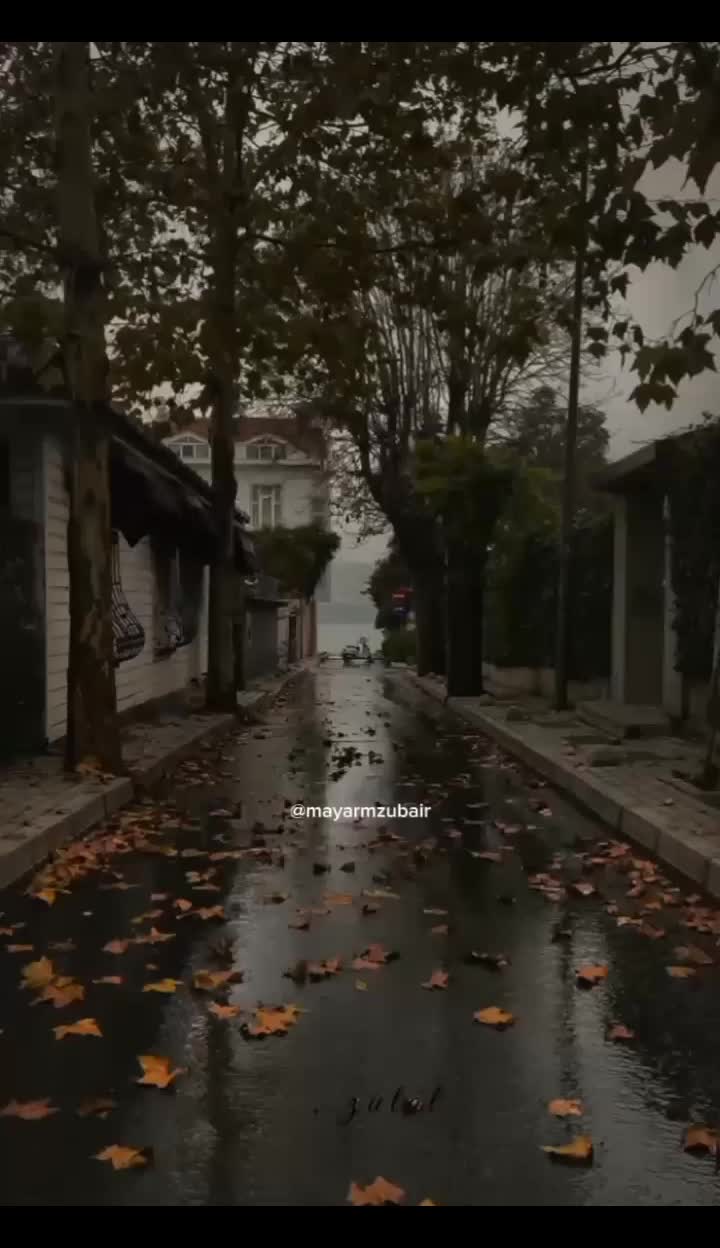 @Maryamzubair