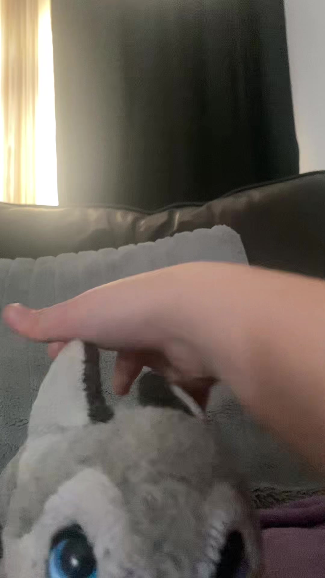 @Marla.woof woof