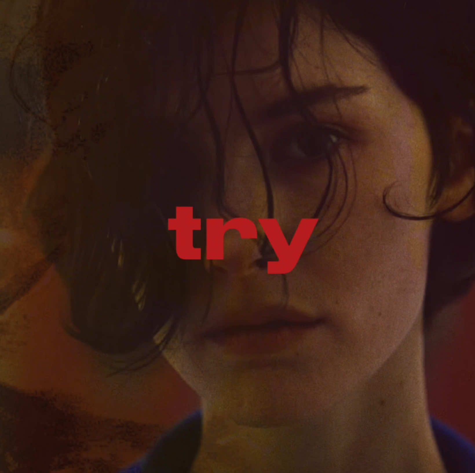 @ladybug