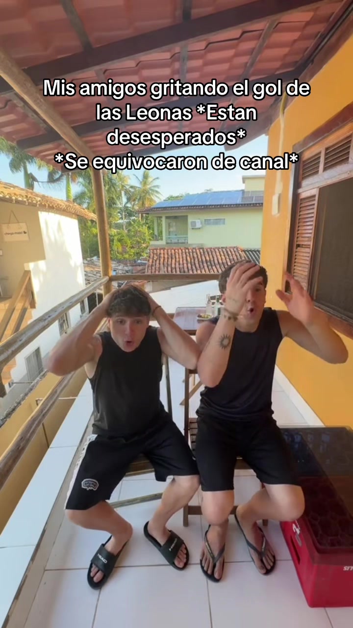 @Pollo