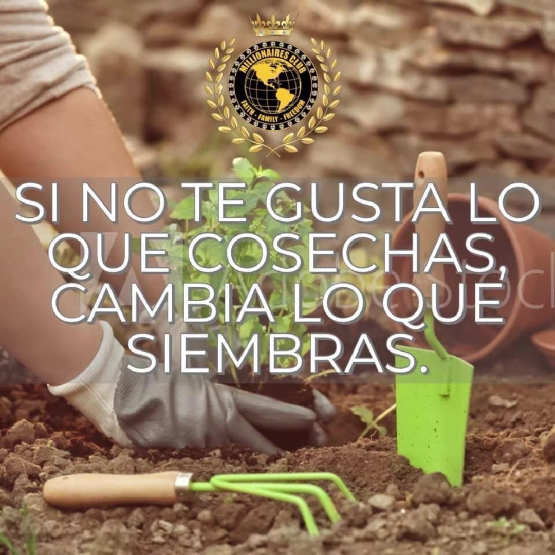@Ruth Flores Severich