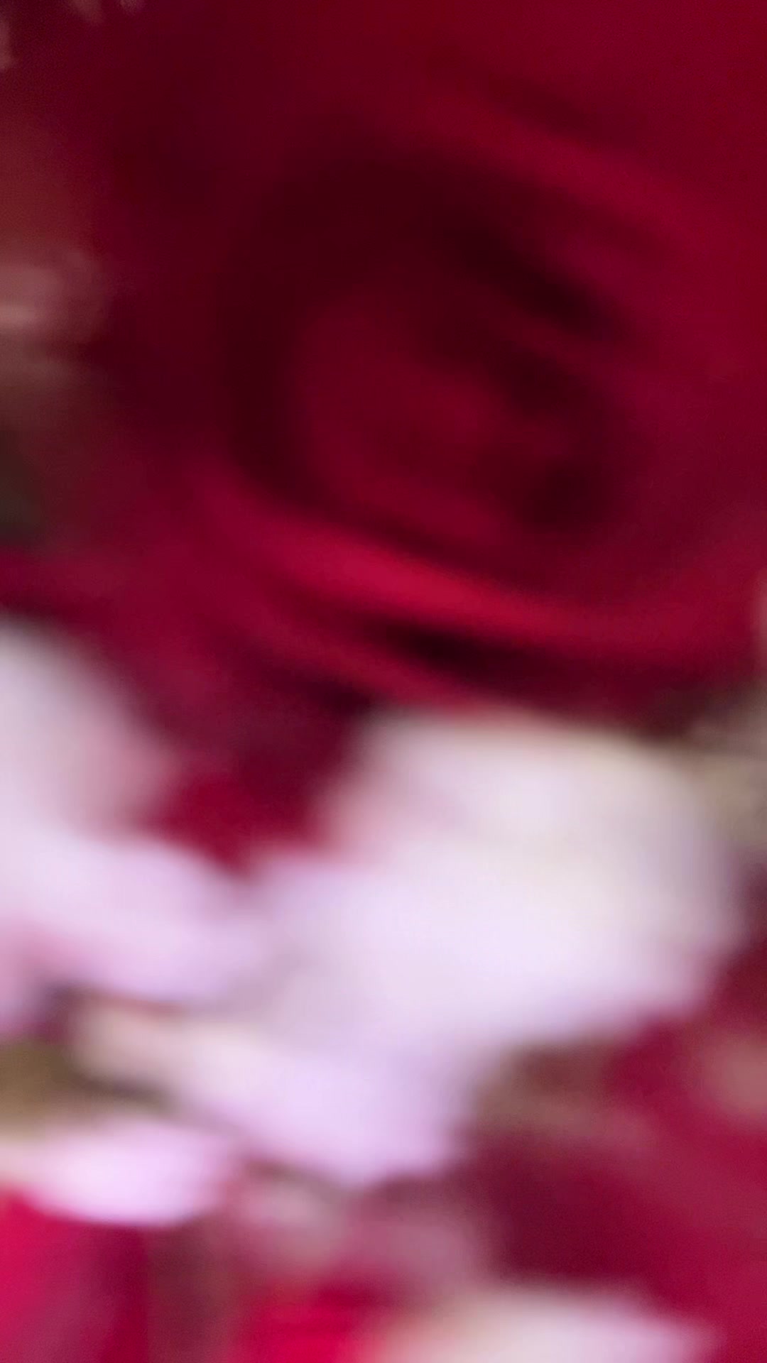 @alyxx