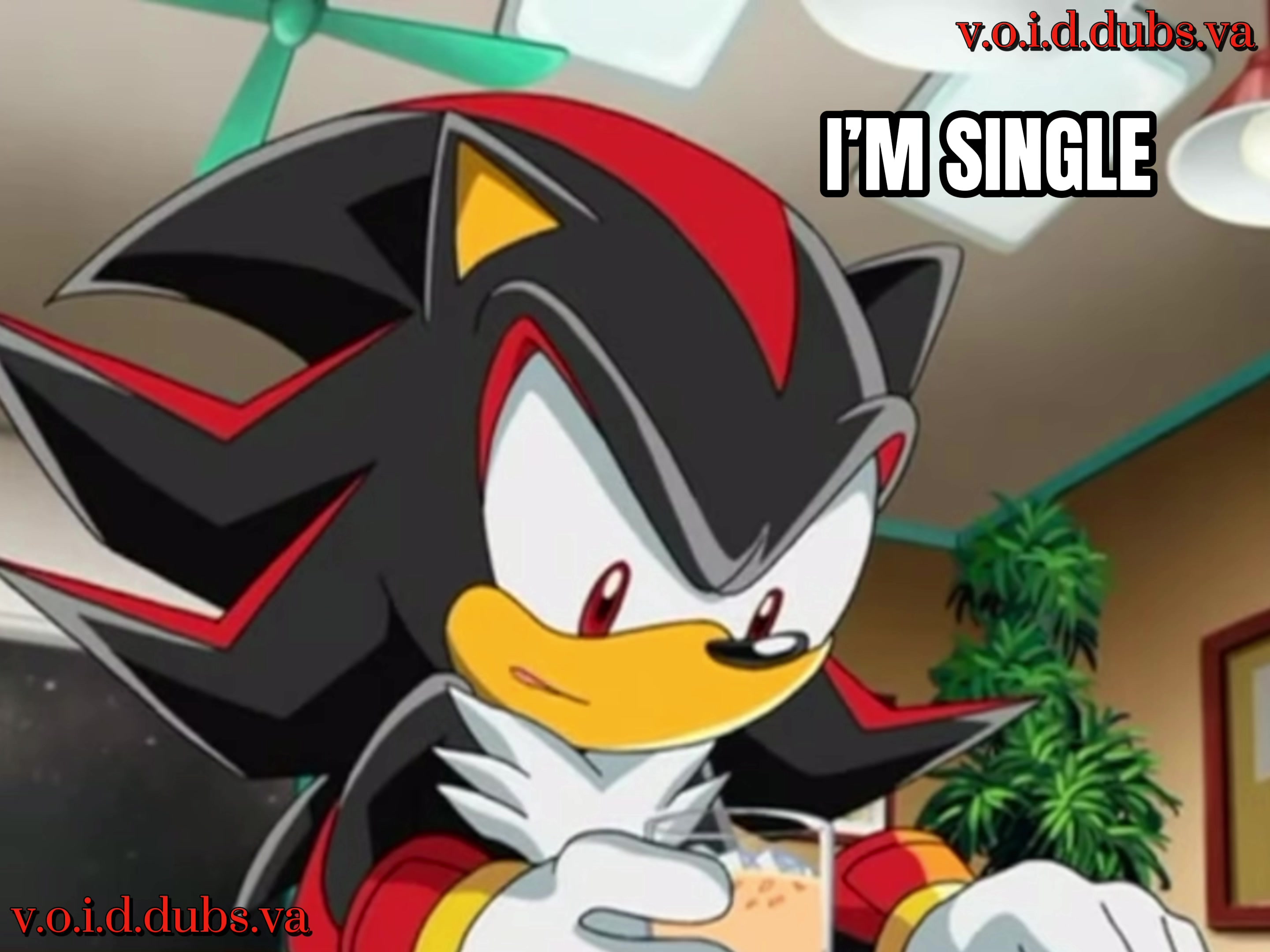 @v.o.i.d.dubs.va