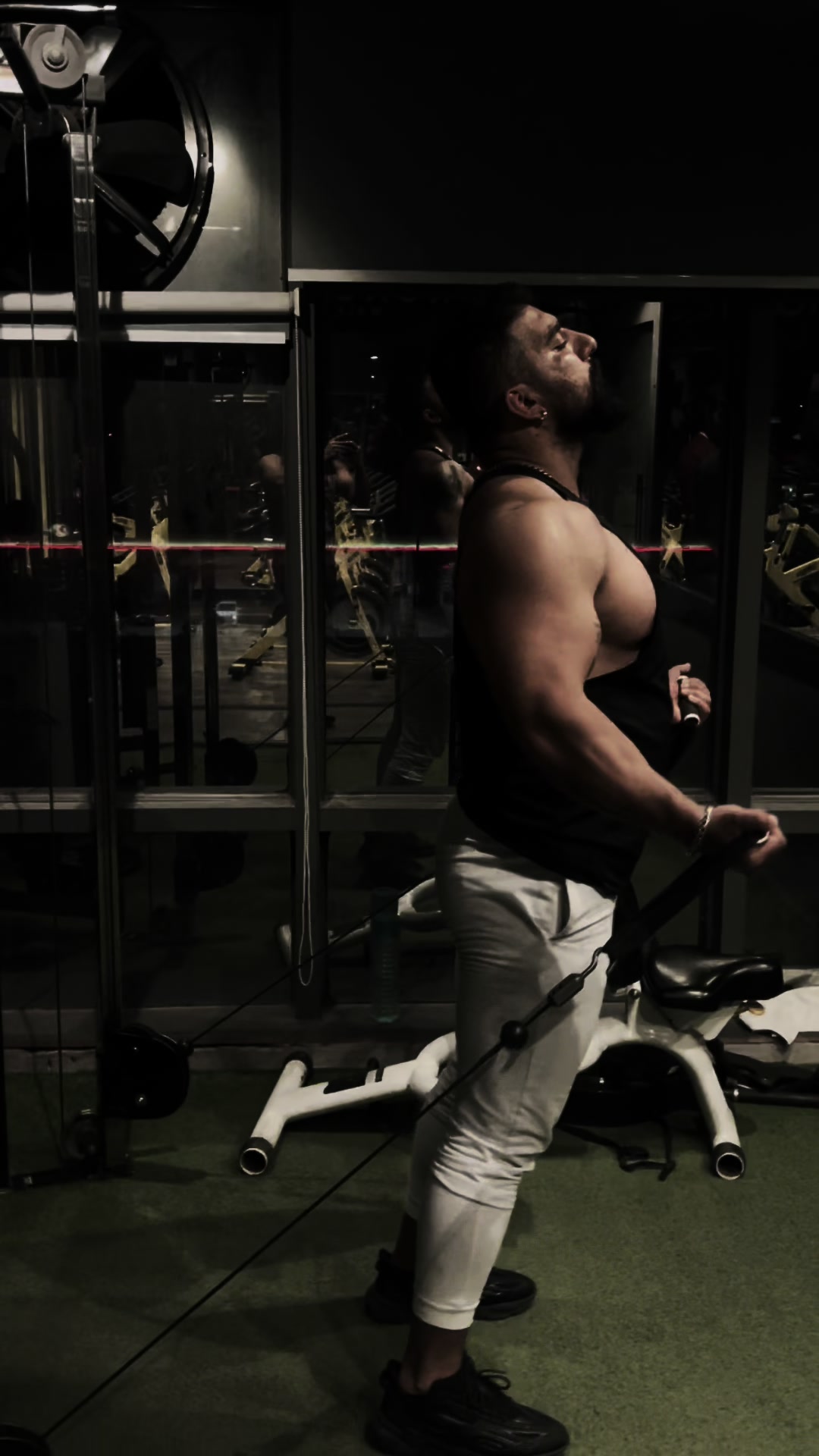 @Gabbar 🕊️🐺