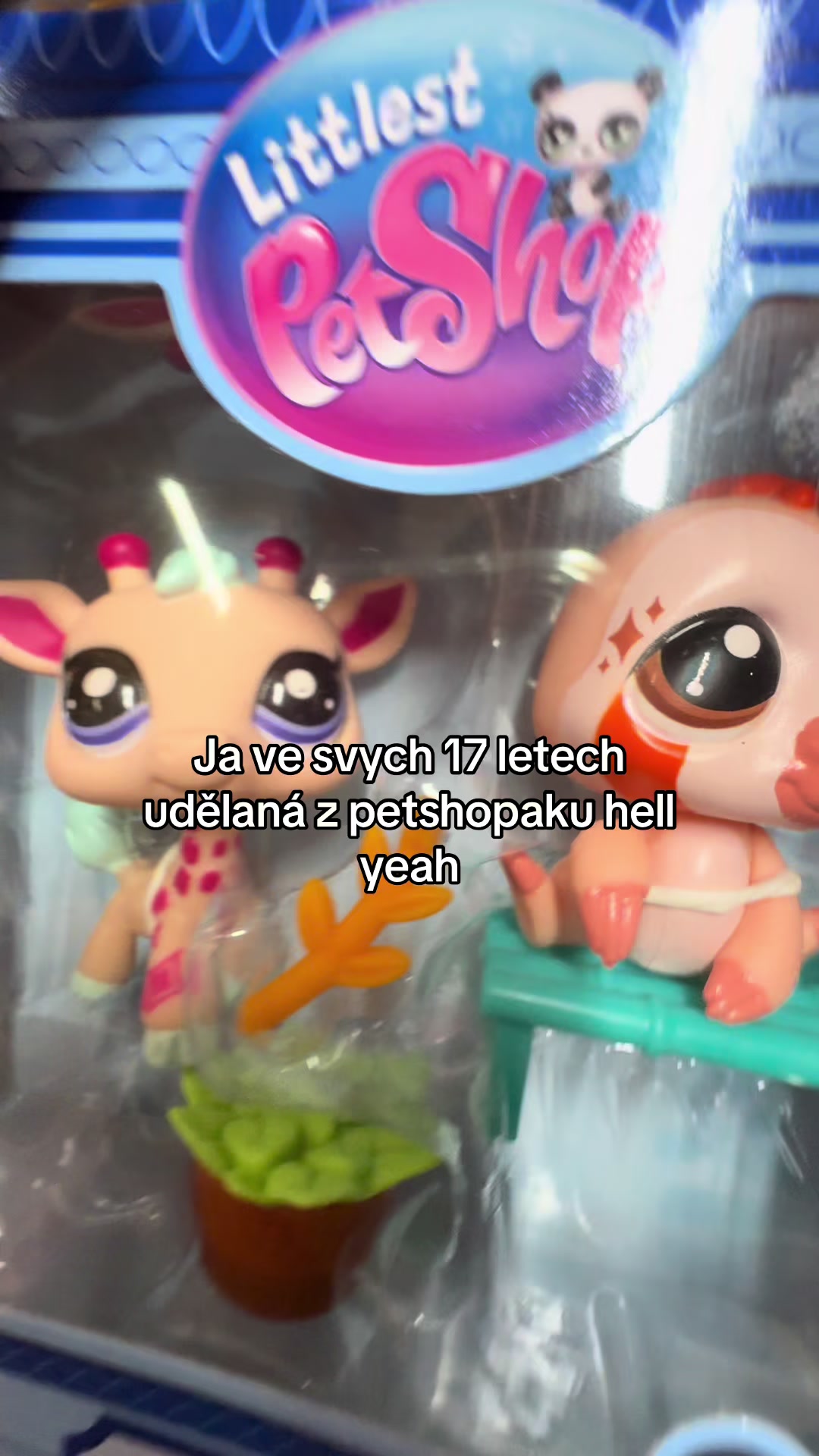 @Bůh